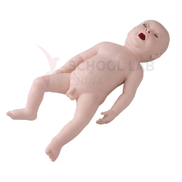 Neonatal Endotracheal Inbutation Model
