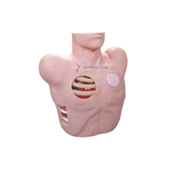 Closed Drainage Simulator of Thoracic Cavity