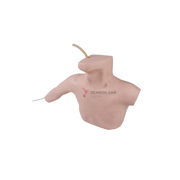 Peripherally Inserted Central Catheterization Model