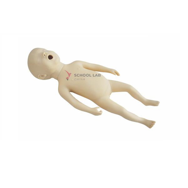 30 Weeks Pronatis Simulator