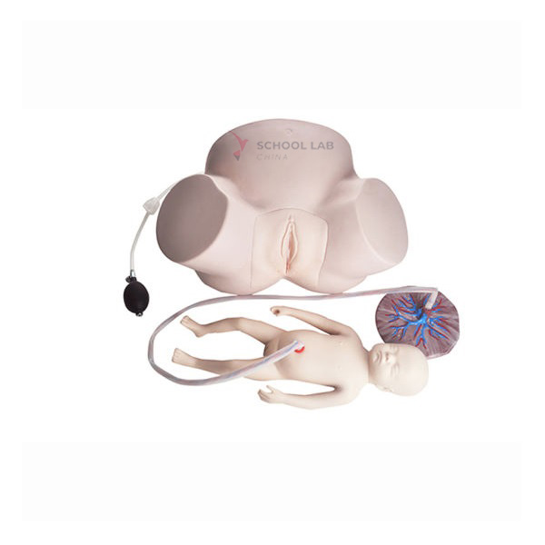 Difficult Labor Models