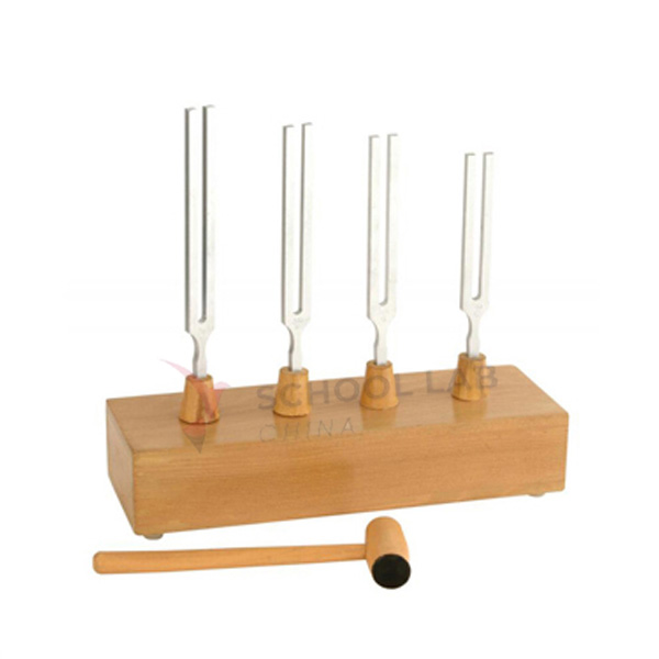 Tuning Fork on Resonance Box