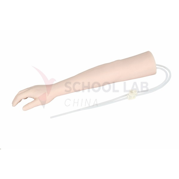 Intravenous Injection Arm Model
