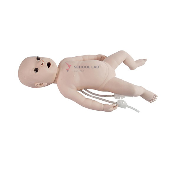 Infant Catheterization &amp; Clysis Model