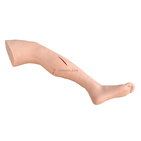 Suturing Practice Leg Model