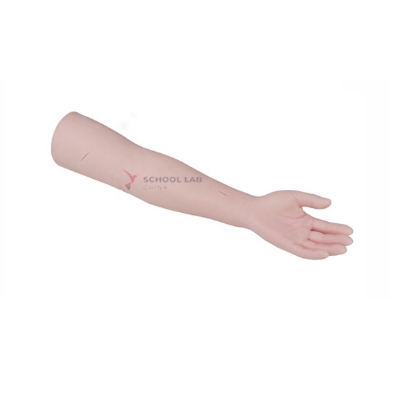 Suturing Practice Arm Model