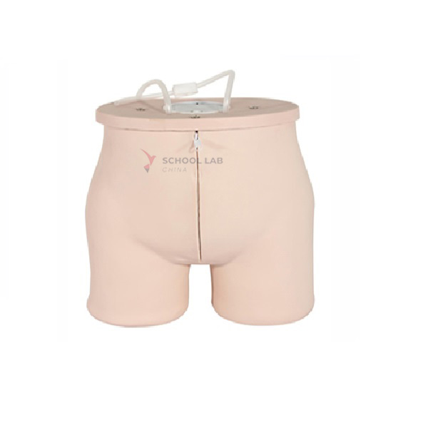 Buttock Intramuscular Injection Training Model