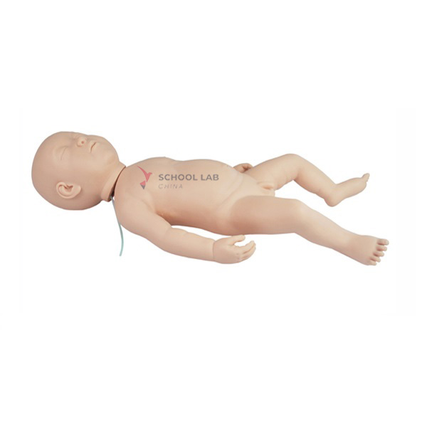 Infant Scalp Injection Training Model