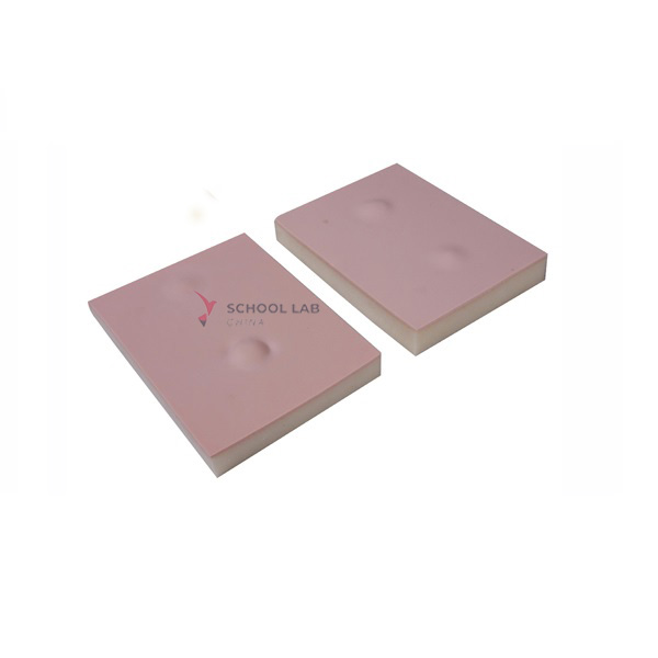 Lipoma Resection Exercise Module (2 pieces)
