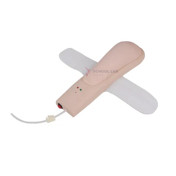 Wearable Upper Arm for Deltoid Intramuscular &amp; Hypodermic Injection Model