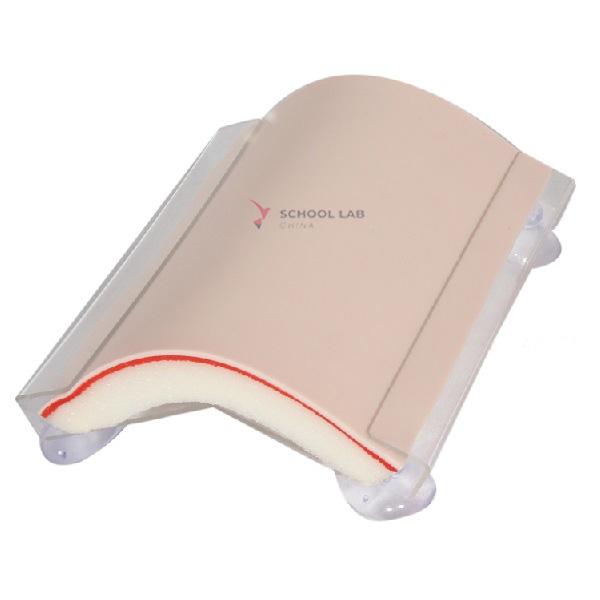 Skin Suturing Practice Module on a Base