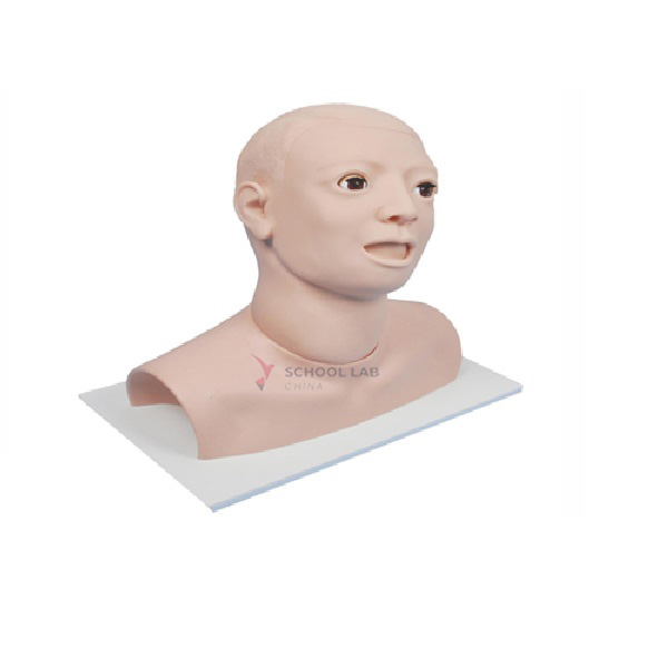 Advance Ear Irrigation Training Model