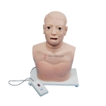 Advanced Pharynx and Larynx Examination Model (electronic monitor)