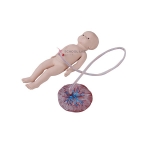 Neonatal Umbilical Cord Nursing Model (female)