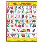 Alphabet Charts