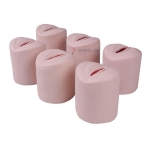 Antepartum Cervix Change and Birth Canal Relationship Model